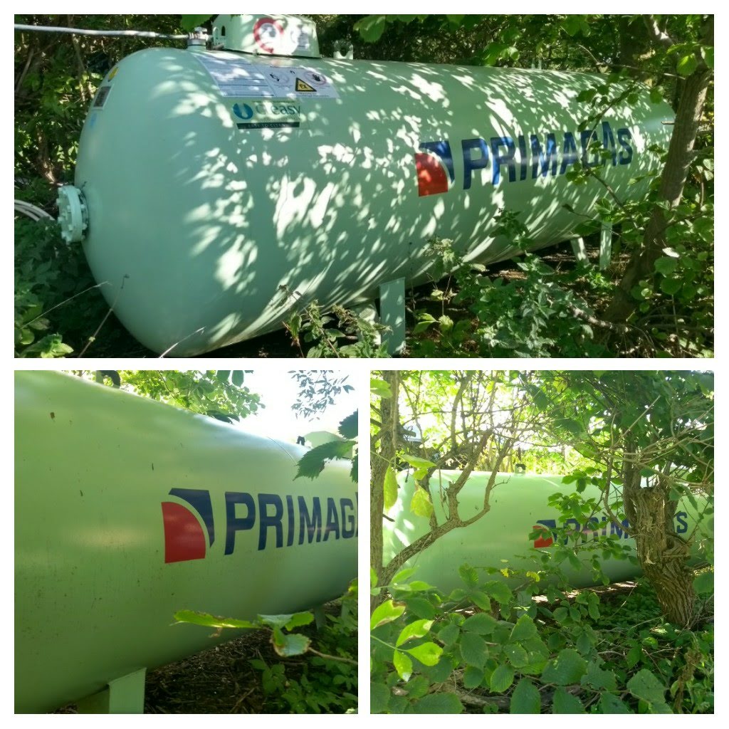 Auf diesem Bild sehen Sie einen grün lackierten Flüssiggas-Tank, der zusätzlich mit Fliederbüschen umrandet wurde. (Foto: energie-experten.org)