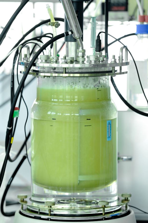 Hier sehen Sie ein Bild des Electrochaea Archaeen-Bioreaktors im Labormaßstab.