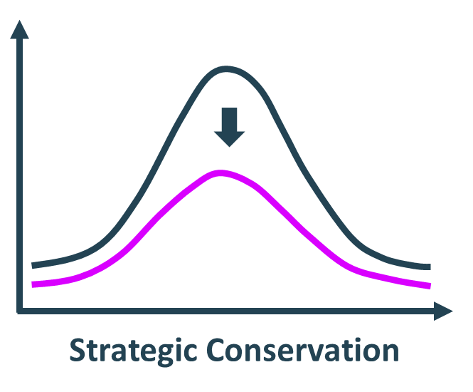 „Strategic Conservation“: Bei der strategischen Nachfragesenkung sind zusätzliche (teure) Erzeugungsanlagen zur Deckung nicht notwendig, Netzabschnitte werden vor Überlastung geschützt. (Grafik: energie-experten.org)
