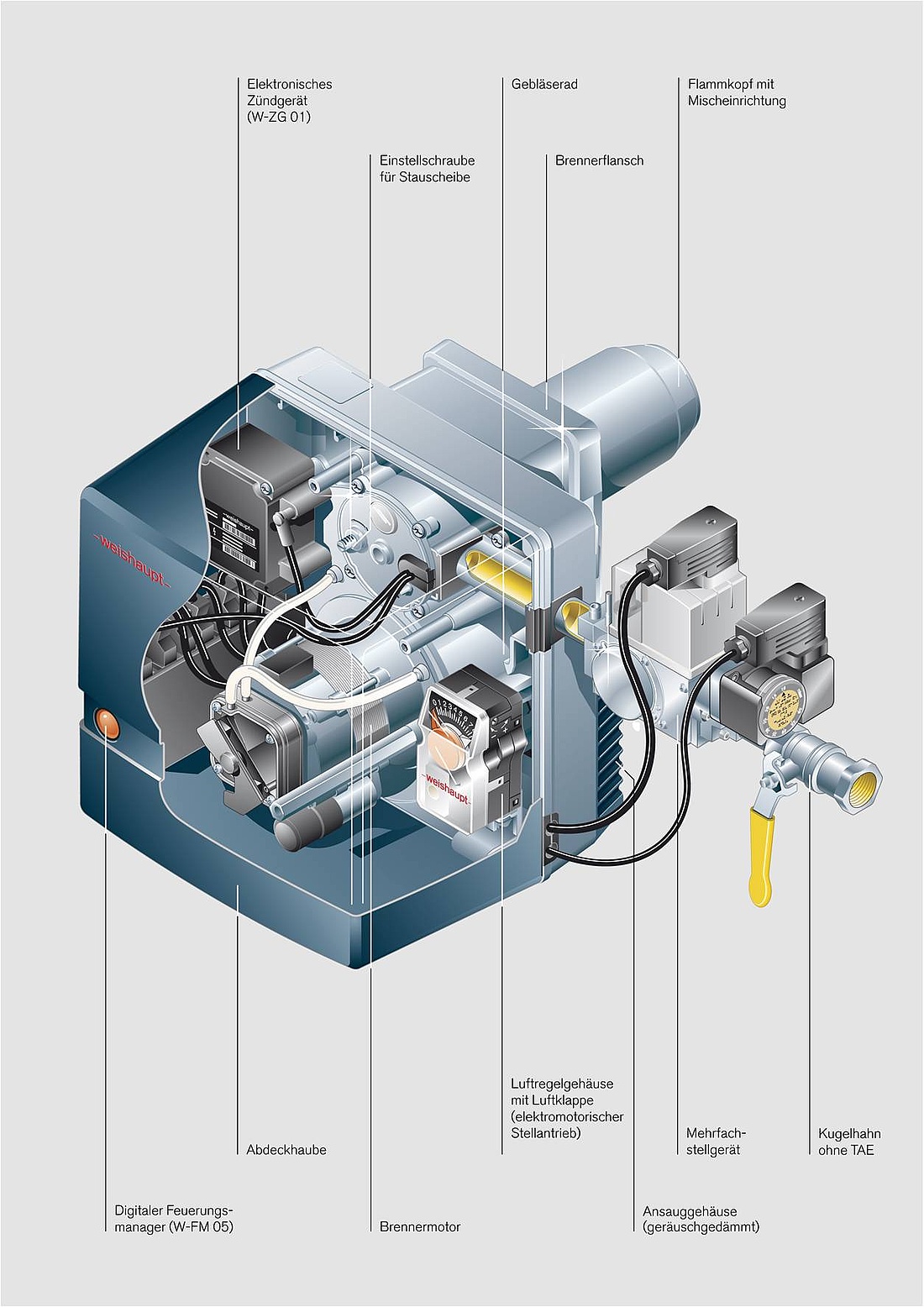 Schnittbild eines W-Brenners für Gas (WG5) mit digitalem Feuerungsmanagement mit einer Leistung von 12,5 bis 50 kW. (Abb.: Max Weishaupt GmbH)