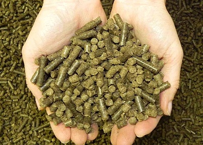 Graspellets: Heizenergie von der grünen Wiese - hier: Gepresste Graspellets aus Abfällen der Landschaftspflege (Foto: biokompakt.com)