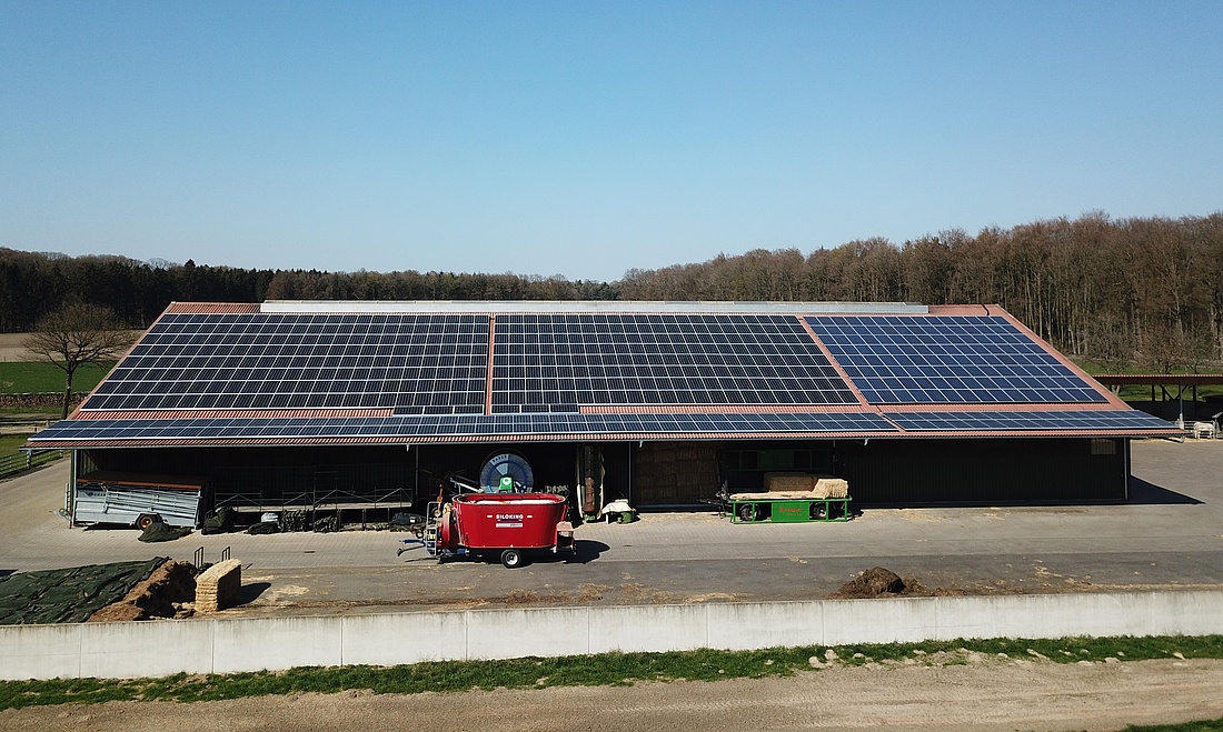 Auf einem Rinderstall sind insgesamt 174 kW Leistung installiert, die auch bei schwacher Solarstrahlung den Hof versorgen können. (Foto: Laudeley)