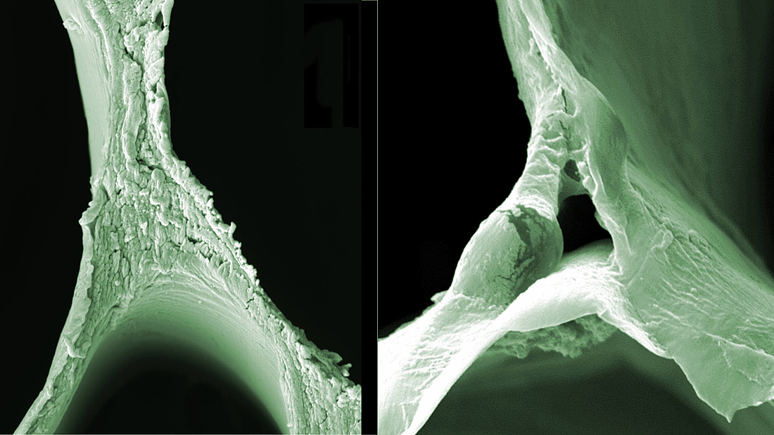 Elektronenmikroskopie-Aufnahmen von Balsa-Holz (links) und delignifiziertem Balsa-Holz (rechts) zeigen die Veränderungen in der Struktur. (Bilder: ACS Nano / Empa)