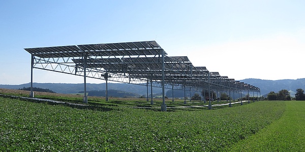 Das Bild zeigt die Solarmodule, aufgestellt auf einer 5 Meter hohen Konstruktion auf einer Ackerfläche.