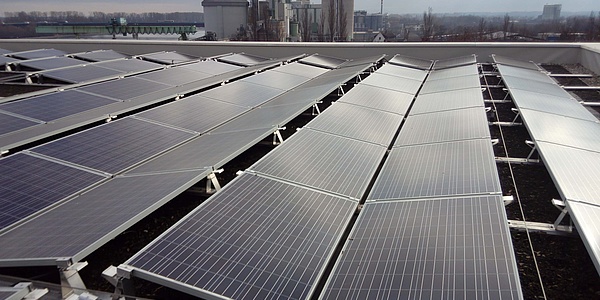 Das Bild zeigt die Solarmodule auf dem Umweltbildungszentrum in Mainz.