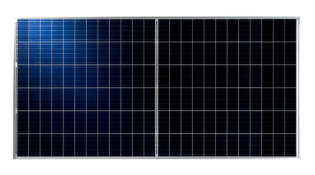 Polykristallines BiSTAR-Halbzellen-Solarmodul (Grafik: Suzhou Talesun Solar Technologies)