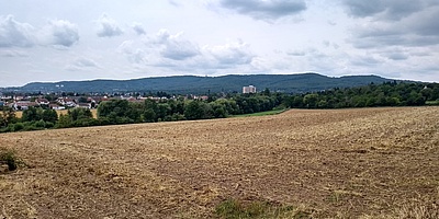 Das Bild zeigt das Areal des zukünftiges Neubaugebiets in Kassel.
