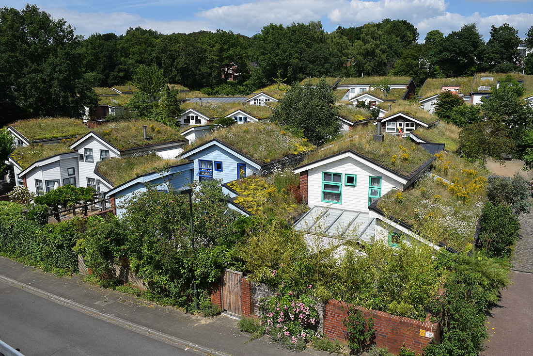 Dieses Foto zeigt die extensive Dachbegrünung mit Gräsern und Blumen auf den Schrägdächern der Öko-Siedlung Düsseldorf-Unterbach