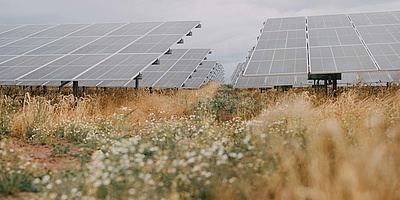 Solarpark im unterfränkischen Bundorf in Bayern (Foto: MaxSolar)