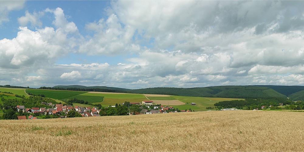 Das Bild zeigt den Ort Riedöschingen umgeben von Feldern.