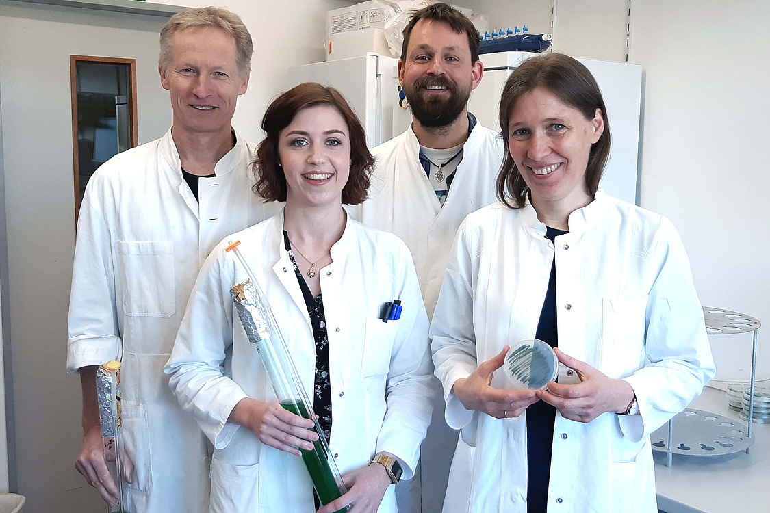 Gemeinsam mit Dr. Jens Appel, Vanessa Hüren und Dr. Marko Böhm (von links nach rechts) erforscht Dr. Kirstin Gutekunst, wie sich Cyanobakterien zur Produktion solaren Wasserstoffs einsetzen lassen. (Foto: © Sarah Hildebrandt)